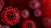 Tájékoztató az új koronavírus járványos terjedésének megelőzése érdekében